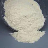 carbomer-powder9[1]-938435-65298.webp